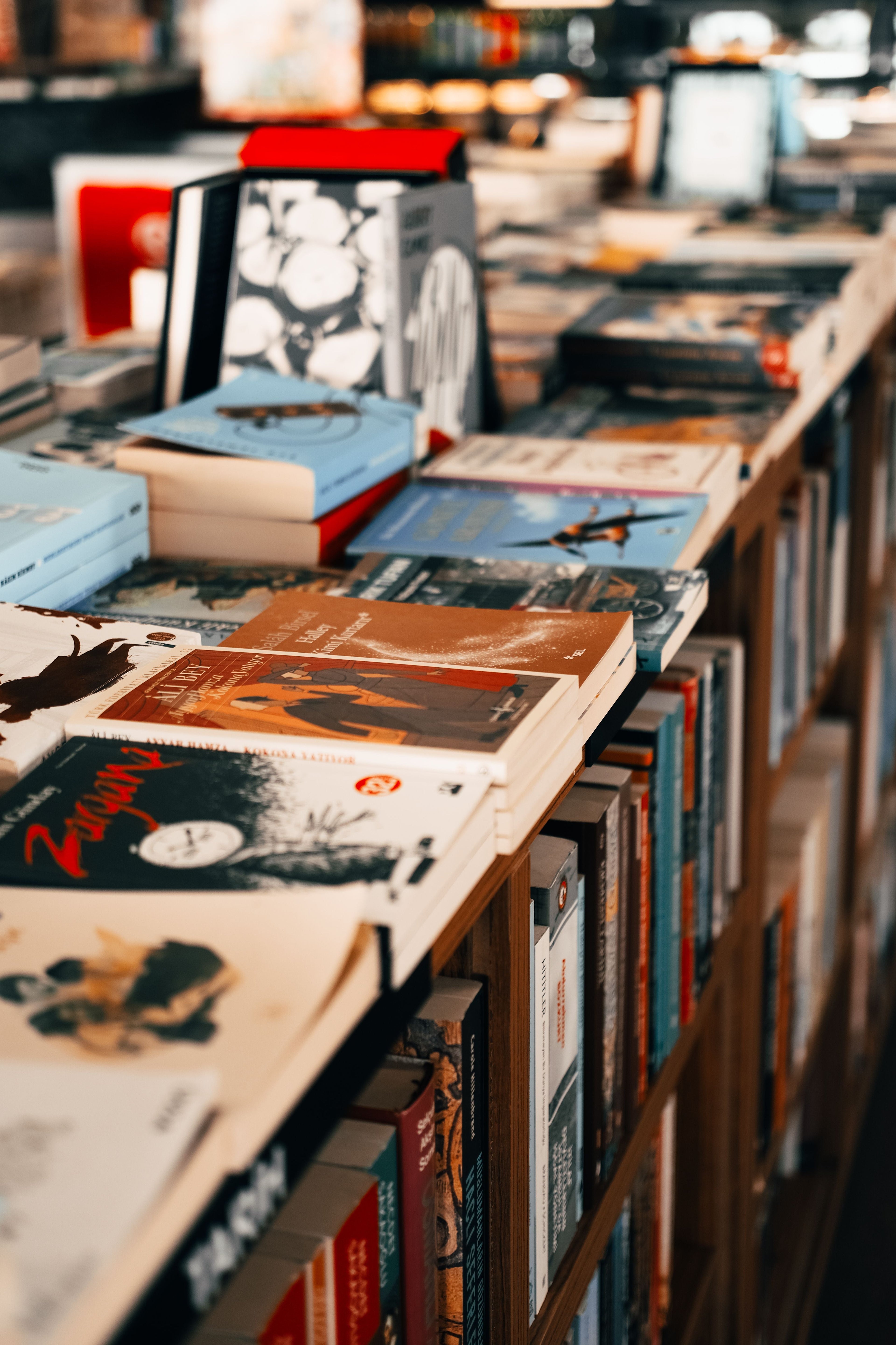 Fiction Books